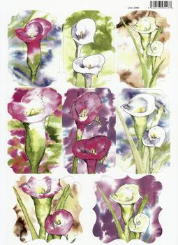 A4 Calla Lilies Water Colour Diecut Sheet 2069 . *