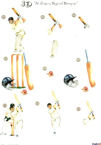 Male Die Cut Sheet - Cricket 3 push out projects  450 Die Cuts 
