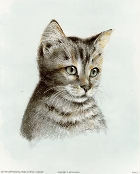 Animals