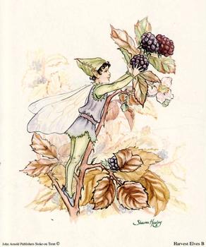 Purple & Green Blackberry - Harvest Elves Print B- 5