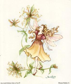 Flower Fairies Print A - 5