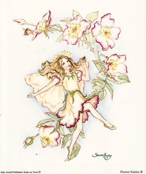 Dancing Flower Fairies Print B - 5