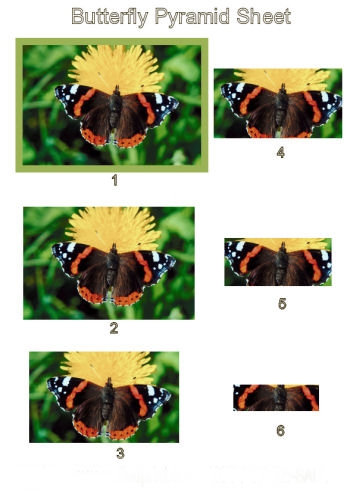 Pyramid Sheet - Butterfly 3d Card Art Photo Pyramid 