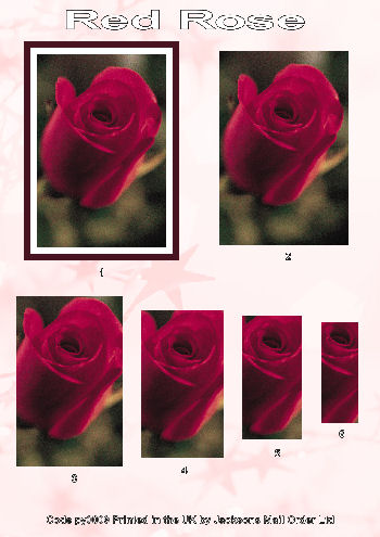 Pyramid Sheet - Red Rose 3D Card Art Photo Pyramid 