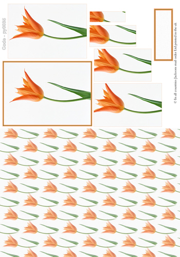 Floral Pyramid Combi Sheet 5 3D Card Art RRP 75p