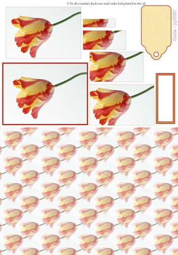 Floral Pyramid Combi Sheet 7 3D Card Art RRP 75p