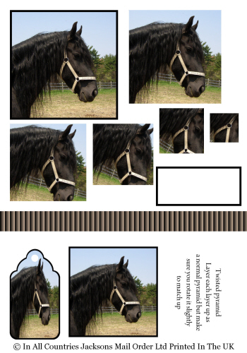 Twisted Pyramid - Black Horse 3d Card Art RRP 75p