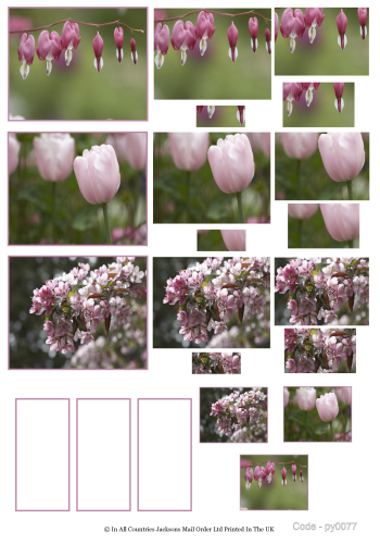 Multi Pyramid Sheet - Photo Nouveux Floral 3d Card Art RRP 75p