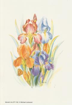 Monet's Iris - 6