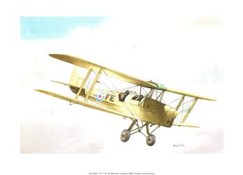 Tiger Moth Plane by Falkiner CP1152 Print 9