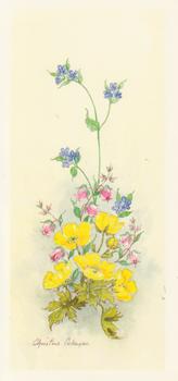 Spring Flowers 5 - Yellow Flower by Christine Coleyan . -Jacksons mail Order