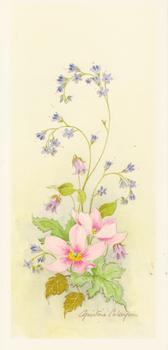 Spring Flowers 6 - Pink Flower by Christine Coleyan l -Jacksons mail Order