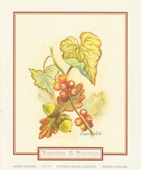 Berries and Acorns ~ CP1170 ~ A Elizabeth de Lisle Print - 5