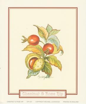 Chestnut and Rose Hip  ~ CP1167 ~ A Elizabeth de Lisle Print - 5