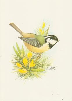 Bird Print by Eve Coote *** 5