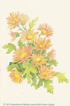 Crysanthemum Flower Print by Michael Lockwood - CP1261 - 4