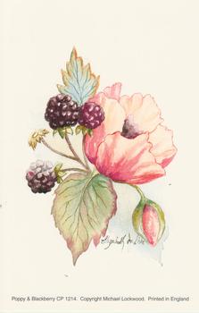 Poppy and Blackberry Flower Print by Michael Lockwood - CP1214 - 4