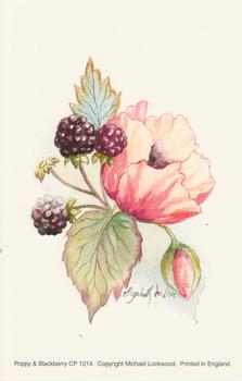 Poppy and Blackberry Flower Print by Michael Lockwood - CP1214 - 4