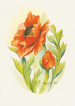 Poppies - 6