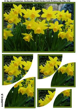 Daffodil Corner Side Stacker Sheet . 