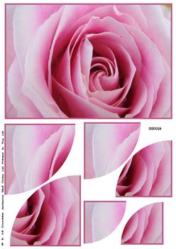 Beautiful Rose Bloom Corner Stacker Sheet . FANTASTIC OFFER!!