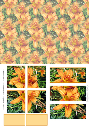 Large Tile Sheets - Floral 4 3D Card Art RRP 75p