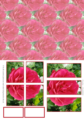 Large Tile Sheets - Floral 5 3D Card Art RRP 75p