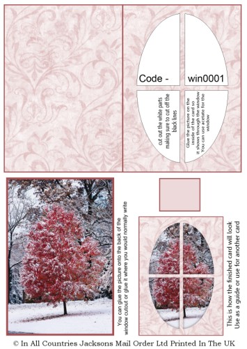 Window Sheets - Winter Tree Window RRP 75p